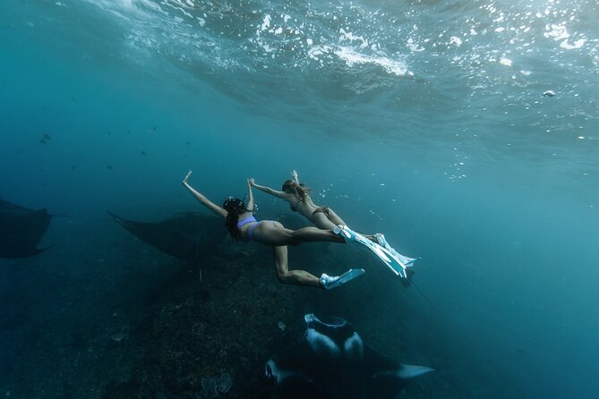 ️Nusa Penida by Private Boat - Snorkeling 4 spots, Swim with Mantas + Land Tour - Key highlights you’ll actually care about