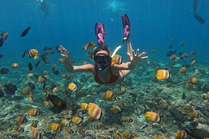 ️Nusa Penida by Private Boat - Snorkeling 4 spots, Swim with Mantas + Land Tour - The snorkeling sequence: how the stops change the day