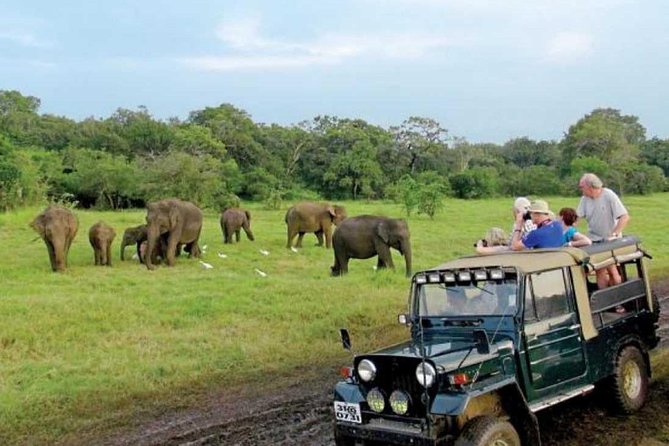 08 Nights in Magical Sri Lanka - The Temple of the Tooth Relic and Kandy’s evening rhythm around the lake