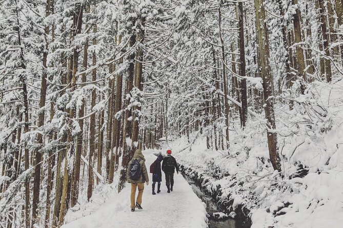 1-Day Snow Monkeys, Zenko-ji Temple & Sake in Nagano - Jigokudani Snow Monkey Park: the hike, the rules, and the real magic