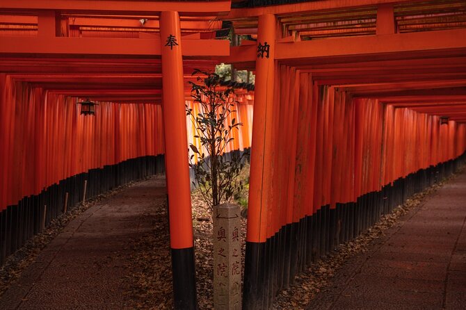 10 Must-see Spots in Kyoto One Day Private Tour (up to 7 people) - Fushimi Inari-taisha: Plan for Steps, Not Just Photos