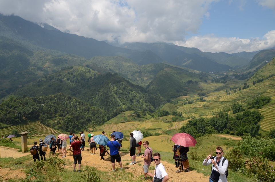 2-Day Sa Pa Ethnic Homestay Tour & Trek with Limousine Bus - Day 2 trekking: Giang Ta Chai Bridge, bamboo forest, and panoramic views