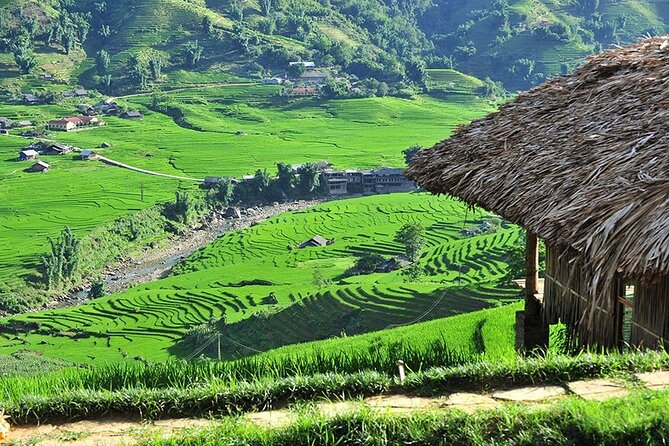 3-Day Trekking Adventure of Sapa from Hanoi - Stay Ta Van Village - Day 3 circuit: Ta Van to Hang Cun, Sam 2, and Lao Chai