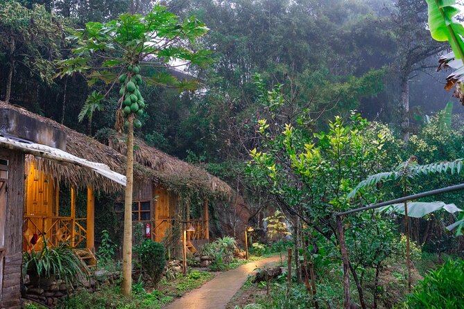 3-Day Trekking Adventure of Sapa from Hanoi - Stay Ta Van Village - Day 1 from Y Linh Ho to Ta Van: rice terraces and a real first hike