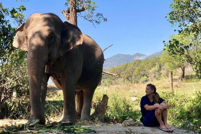 3-in-1: Doi Inthanon Tour, Elephant Sanctuary, and Trekking Trail - The Phak Dok Seaw hike and Pha Dok Siew Waterfall