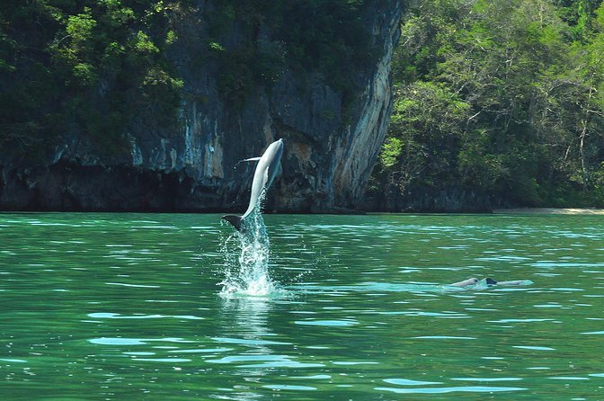 5 Hours Sharing Basis Kilim Mangrove Safari Boat Tour in Langkawi - Guides make the difference: Sara, Fauzan, and Wafiq show up for a reason