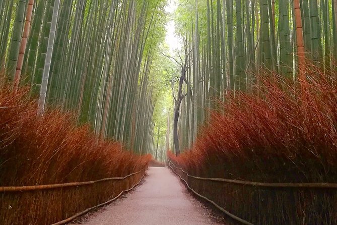 5 Top Highlights of Kyoto Full Day Bike Tour (E-bike option) - Stop 1: Bamboo Forest Street and that famous soundscape