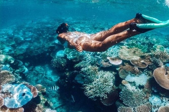 All Inclusive : Bali Blue Lagoon Snorkeling, Lunch, and Transport - How the Ubud-to-Padangbai schedule actually feels