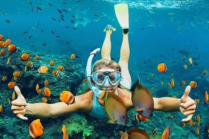 All Inclusive : Bali Blue Lagoon Snorkeling, Lunch, and Transport - Tanjung Jepun: the second reef stop close to the first