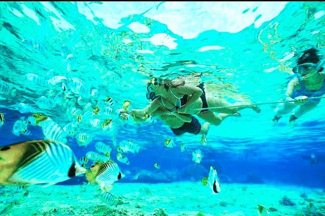 All Inclusive : Bali Blue Lagoon Snorkeling, Lunch, and Transport - Weather and sea conditions: the only part you can’t control
