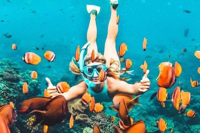 All Inclusive : Bali Blue Lagoon Snorkeling, Lunch, and Transport - Blue Lagoon Beach: calm water, easy entry, and fish time