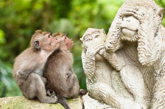 All-Inclusive Ubud Private Tour - Key highlights worth clocking