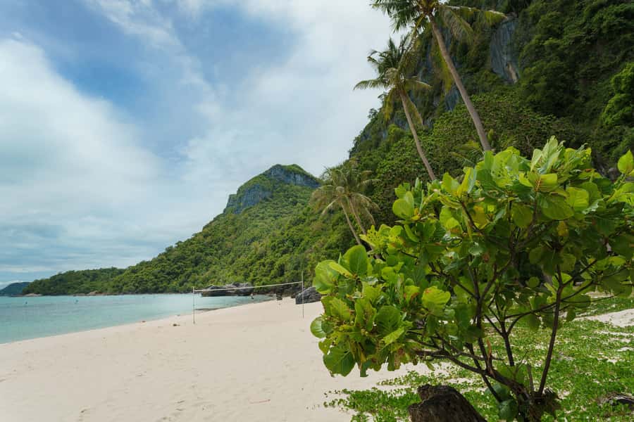 Ang Thong Full-Day Discovery Cruise from Koh Samui - Service culture: why Toto (and Pico) matter to the experience
