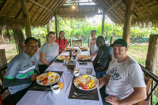 Angkor Sunrise Bike Tour / E-Bike or Tuk Tuk - Ta Prohm’s jungle feel, plus what to expect with the heat