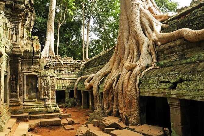 Angkor Wat full Day 'Small Group with sunset & Tour Guide - The guide: where this tour can feel excellent (or frustrating)