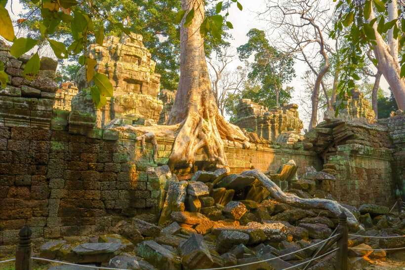 Angkor Wat: Full-Day Temples Small Group Tour - Ta Prohm: the jungle temple and the Tomb Raider vibe