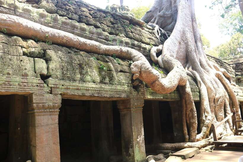 Angkor Wat: Highlights and Sunrise Guided Tour - Angkor Thom: Victory Gate and the face-to-face moment at Bayon