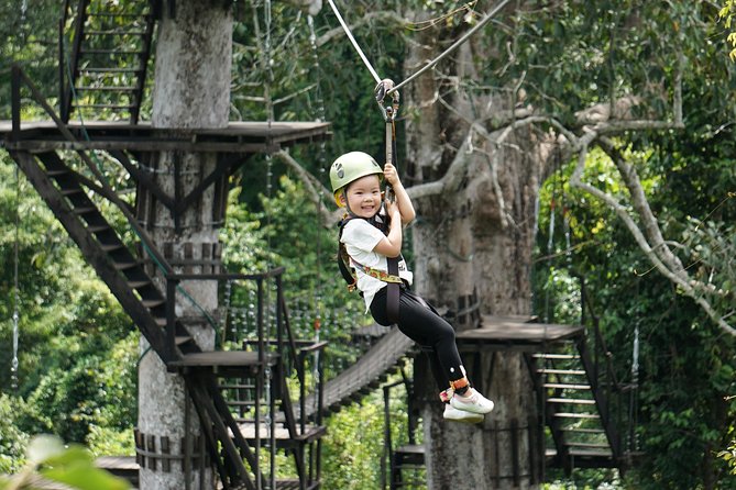Angkor Wat Park Zip Line Adventure in Siem Reap - The Ride Itself: ziplines, sky bridges, and fast-landing fun