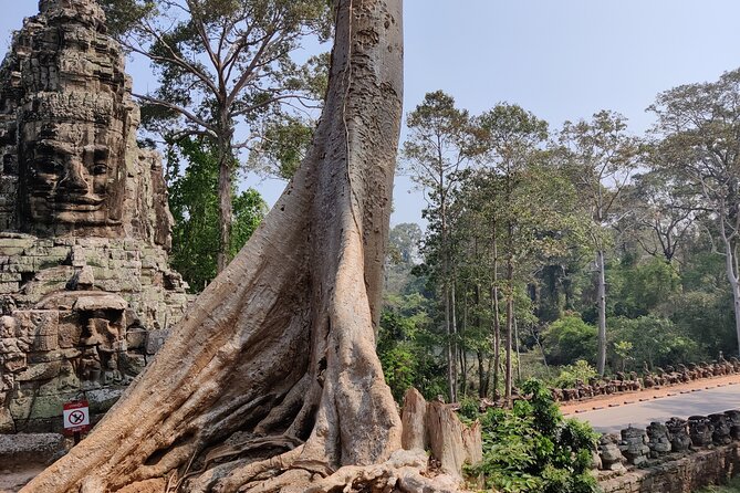 Angkor Wat Private Tuk-Tuk Tour (sunrise Option) & more - Bayon Temple: faces, bas-reliefs, and why the pacing helps