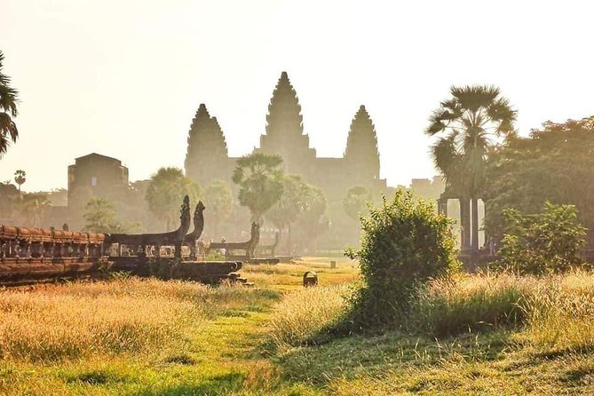 Angkor Wat Small-Group Exploration with Expert Guide - Ta Prohm: the ruin-and-tree drama in one focused hour