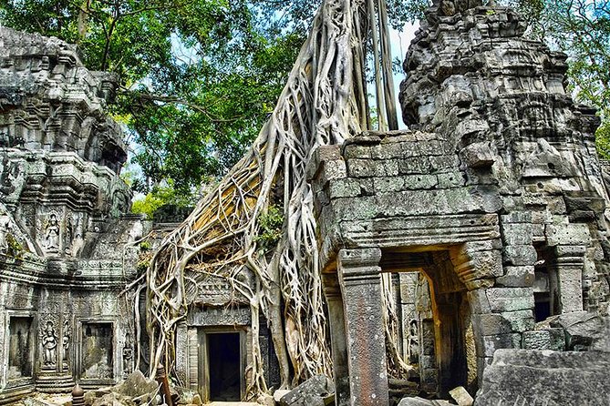 Angkor Wat Small-Group Exploration with Expert Guide - Lunch at the national park: convenient, but not always cheap