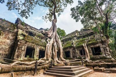 Angkor Wat Sunrise tour with Small - Group and Guide tours - Morning energy: what you’ll do before the light
