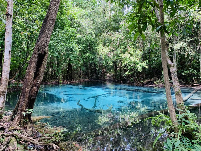Ao Nang: Hot Spring, Emerald Pool & Tiger Cave Temple Tour - Thai lunch that fuels the hard part later