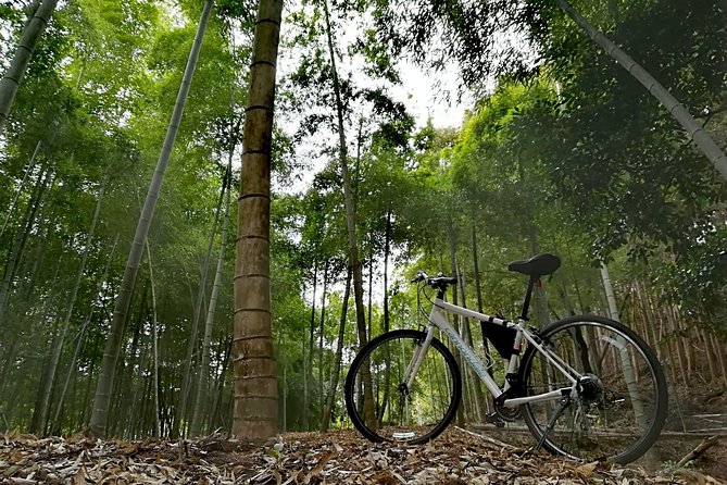 Arashiyama Bamboo Forest & Hidden Gems Bike Tour (Early Bird) - Stop 1: Bamboo Forest Street and that bamboo soundscape moment