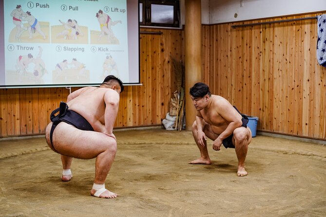 Authentic Sumo Experience in Tokyo: Enter the Sanctuary - Ring-side morning practice: what you actually see