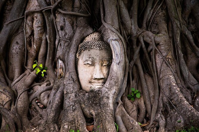 Ayutthaya Temples and River Cruise from Bangkok - Ayutthaya from Bangkok: why this day trip works