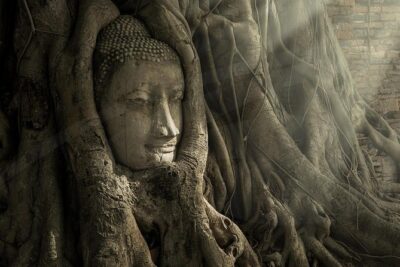 Ayutthaya Temples and River Cruise from Bangkok - Pickup, timing, and how the day stays organized