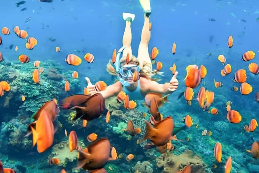 Bali: Blue Lagoon Beach Snorkeling Tour with Lunch - Key Things I’d Circle Before You Go