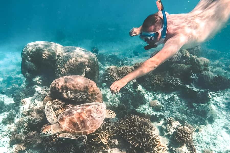 Bali: Blue Lagoon Beach Snorkeling Tour with Lunch - Why This Blue Lagoon Snorkeling Day Can Be Such Good Value