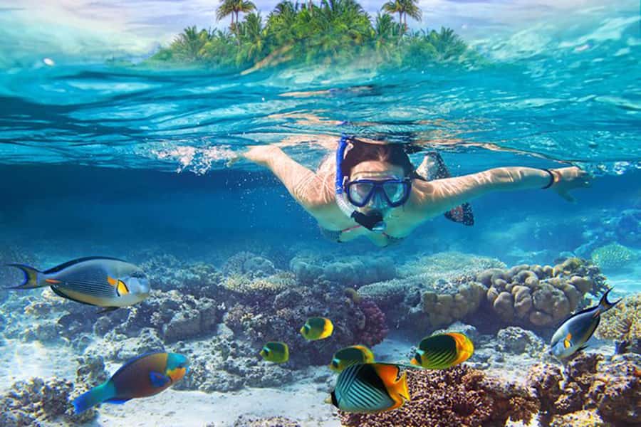 Bali: Blue Lagoon Beach Snorkeling Tour with Lunch - Blue Lagoon Beach Snorkeling: Fish You’ll Actually Notice