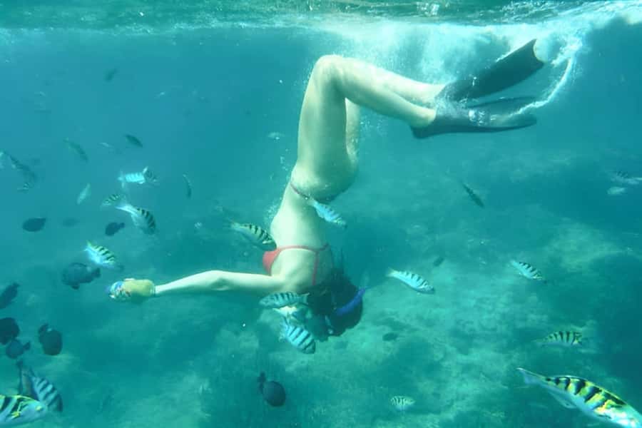 Bali: Blue Lagoon Beach Snorkeling Tour with Lunch - Tanjung Jepun and the East Coast Stops: The Wildlife-Spotter Portion