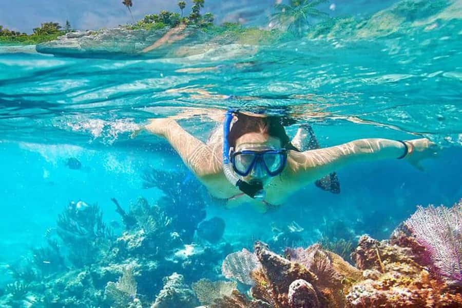Bali: Blue Lagoon Beach Snorkeling Tour with Lunch - Gear, Boat Transfers, Wi-Fi, and Safety That Actually Help