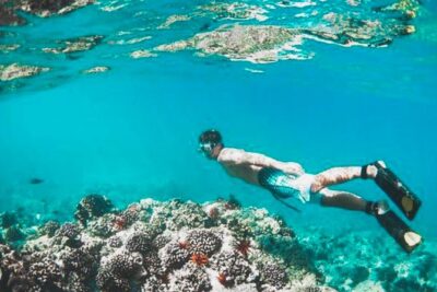 Bali Blue Lagoon Snorkeling - Lunch and Transport All Inclusive - Blue Lagoon Beach and Tanjung Jepun Snorkeling: What to Expect