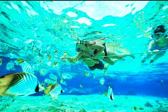 Bali Blue Lagoon Snorkeling - Lunch and Transport All Inclusive - The Included Lunch: Simple, Local, and Practical