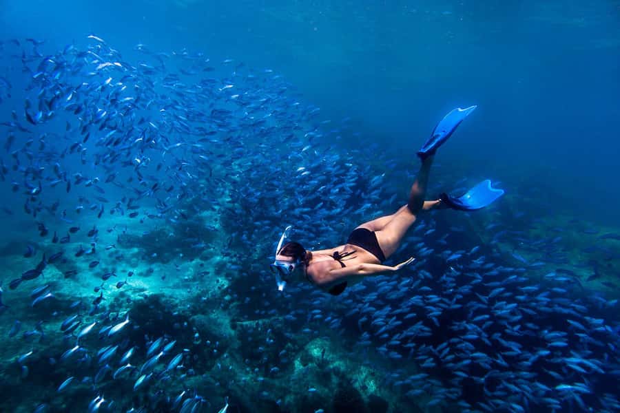 Bali: Blue Lagoon Snorkeling & Waterfall Tour with Lunch - Padang Bai’s Blue Lagoon: the calm-water start