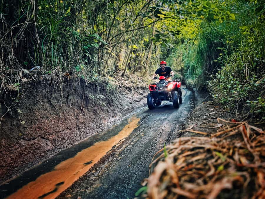 Bali: Blue Lagoon Snorkeling & Waterfall Tour with Lunch - Equipment, guides, and the safety that makes snorkels easier