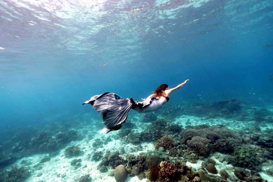 Bali: Blue Lagoon Snorkeling & Waterfall Tour with Lunch - Who this tour suits best (and who should skip it)