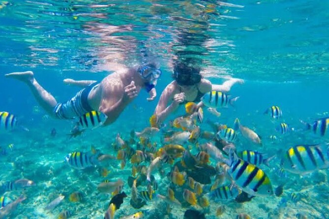 Bali Blue Lagoon Snorkeling with Private Transfer & Lunch - Blue Lagoon Beach Snorkeling: What You’re Really Paying For