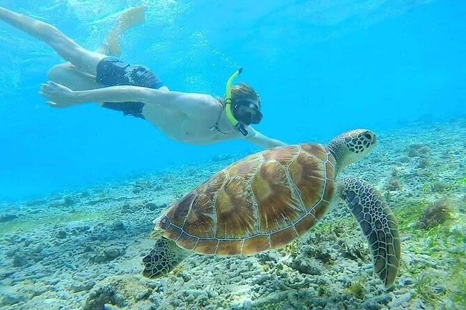 Bali Blue Lagoon Snorkeling with Private Transfer & Lunch - Lunch at Topi Inn Restaurant: Included, But Know What You’re Ordering