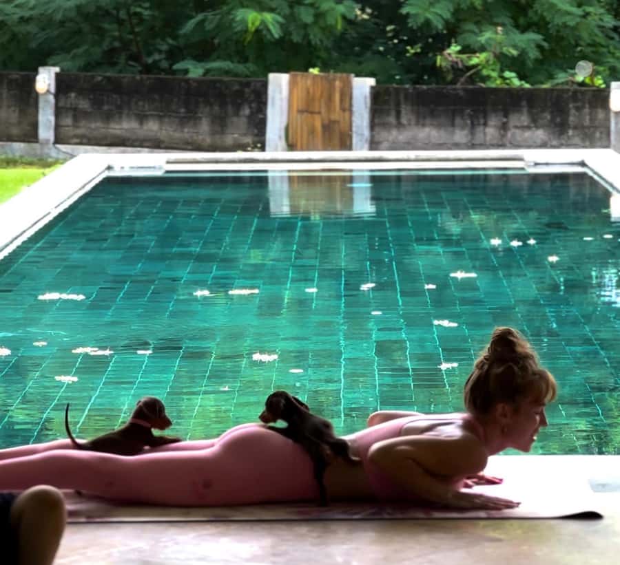 Bali: Canggu & Uluwatu Puppy Yoga Class & Refreshing Drinks - Puppy Yoga Bali in Canggu and Uluwatu: the setup in real life