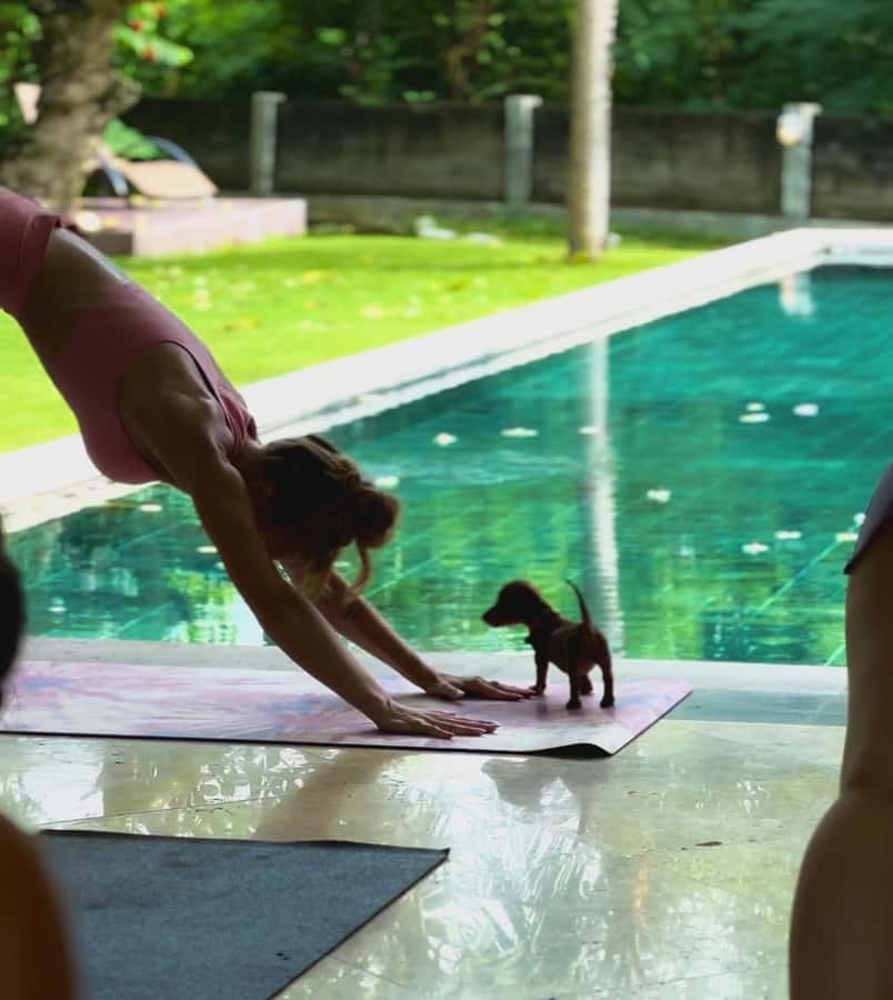 Bali: Canggu & Uluwatu Puppy Yoga Class & Refreshing Drinks - The biggest benefit: rescue puppies getting socialized