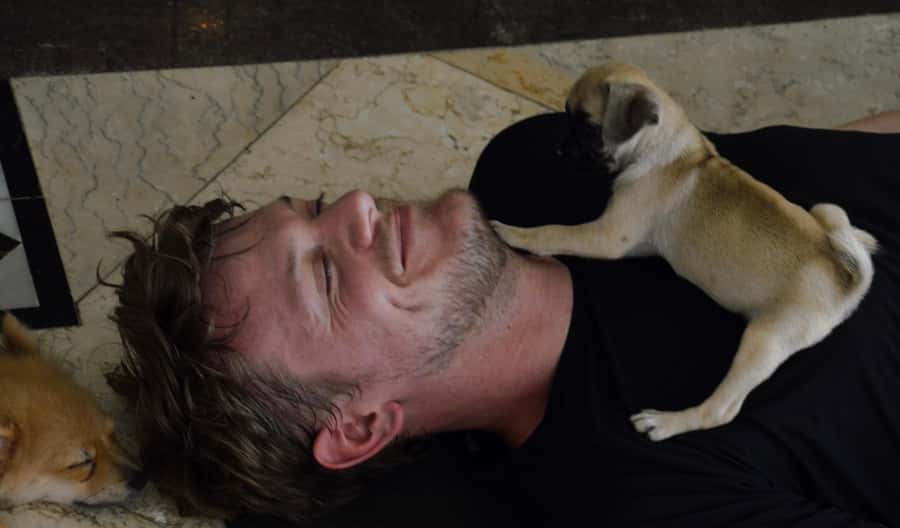 Bali: Canggu & Uluwatu Puppy Yoga Class & Refreshing Drinks - Drinks and the photo/video payoff after class