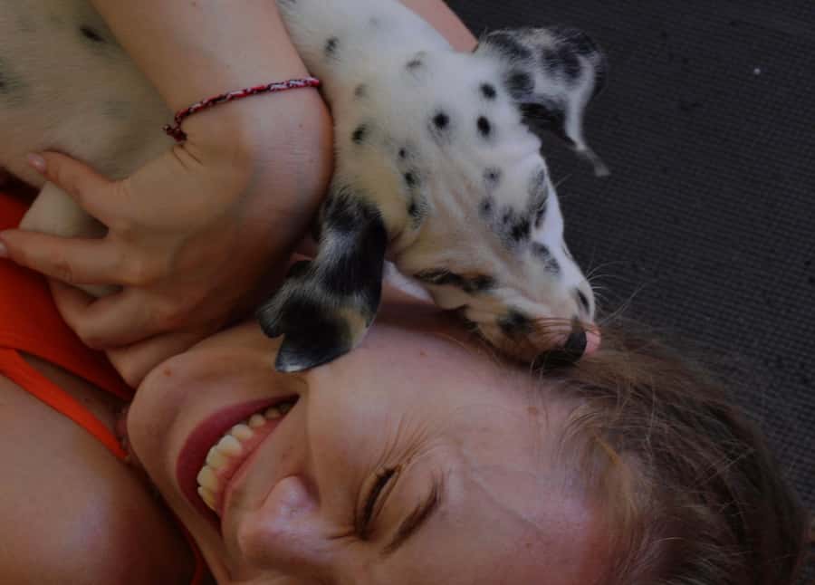 Bali: Canggu & Uluwatu Puppy Yoga Class & Refreshing Drinks - Ethics, cleanliness, and staff friendliness: what people rate highest
