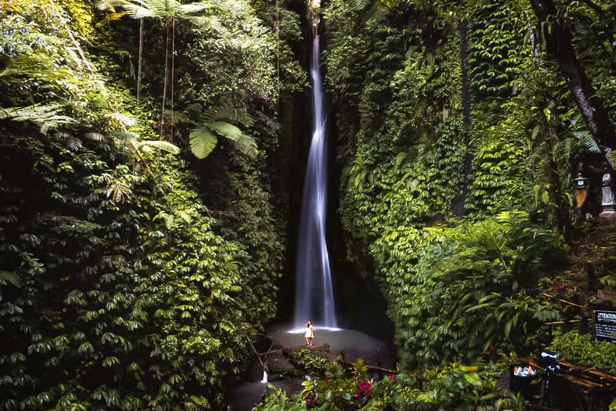 Bali: Customized Private Car Charter with Optional Guide - Key things to know before you go