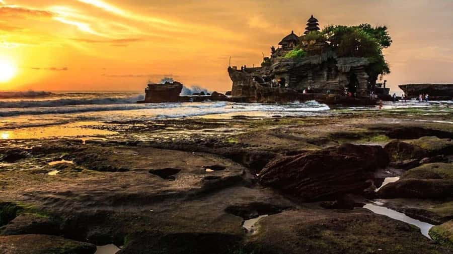 Bali: Customized Private Car Charter with Optional Guide - A private Bali car charter that lets you choose the day