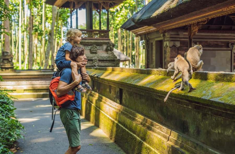 Bali: Customized Private Car Charter with Optional Guide - Uluwatu, Kecak, and optional add-ons that make the day more fun